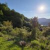 Appartamento Lussuoso a Montagnola, Ticino con Vista Panoramica sul Lago di Lugano