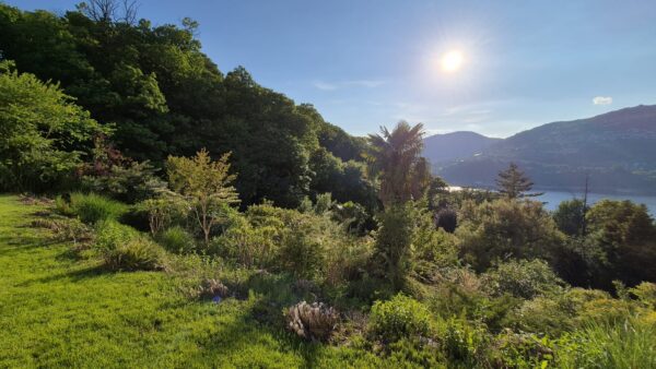 Appartamento Lussuoso a Montagnola, Ticino con Vista Panoramica sul Lago di Lugano