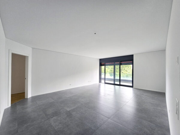 Comodissimo appartamento a Vacallo